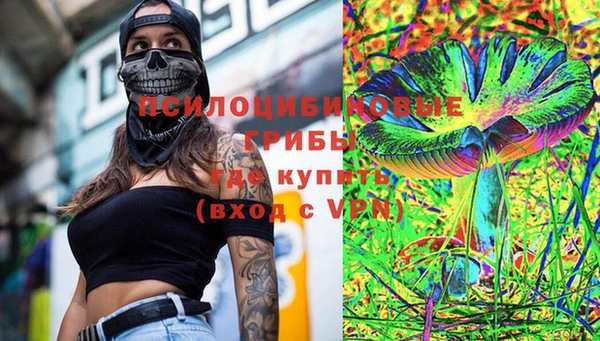 мяу мяу мука Аркадак
