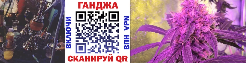 Бошки Шишки ГИДРОПОН  купить наркоту  Каневская 